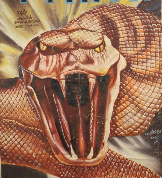 Hand-Painted Python Movie Poster - Ghana Horror Action Art - alternate view