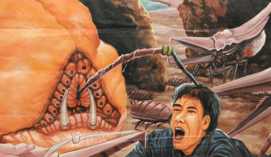 Starship Troopers Hand-Painted Movie Poster From Ghana - alternate view